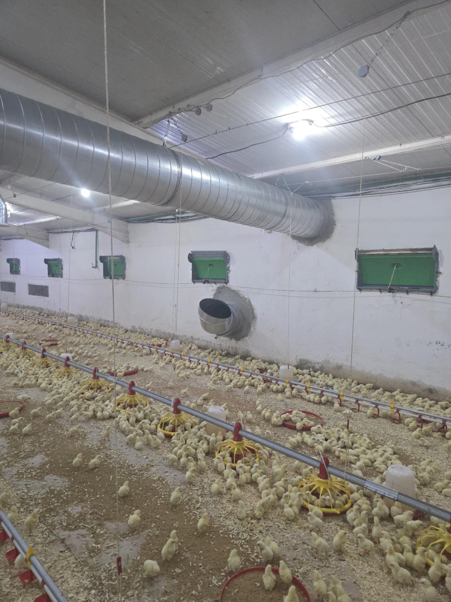 Installation Industrielle #20